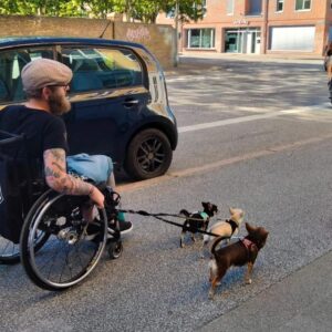 Test Produkt (bundle)